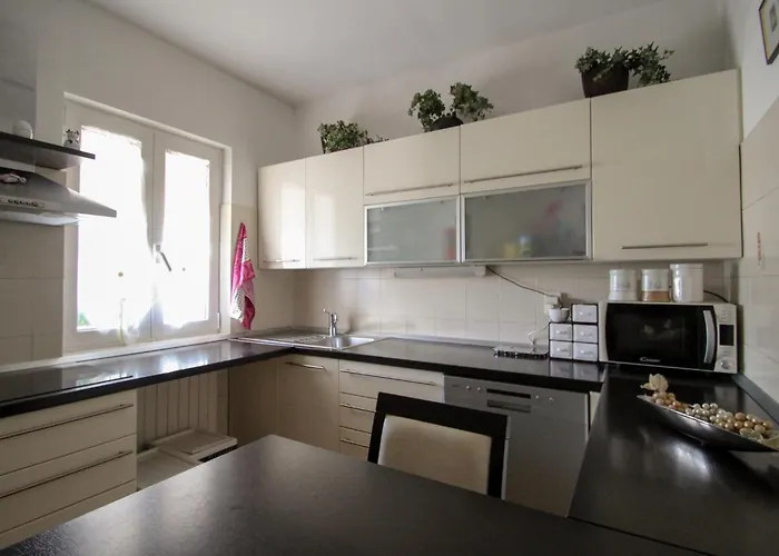 Martinis A4 Novigrad Istria